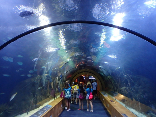 L'Oceanogr&agrave;fic Center.